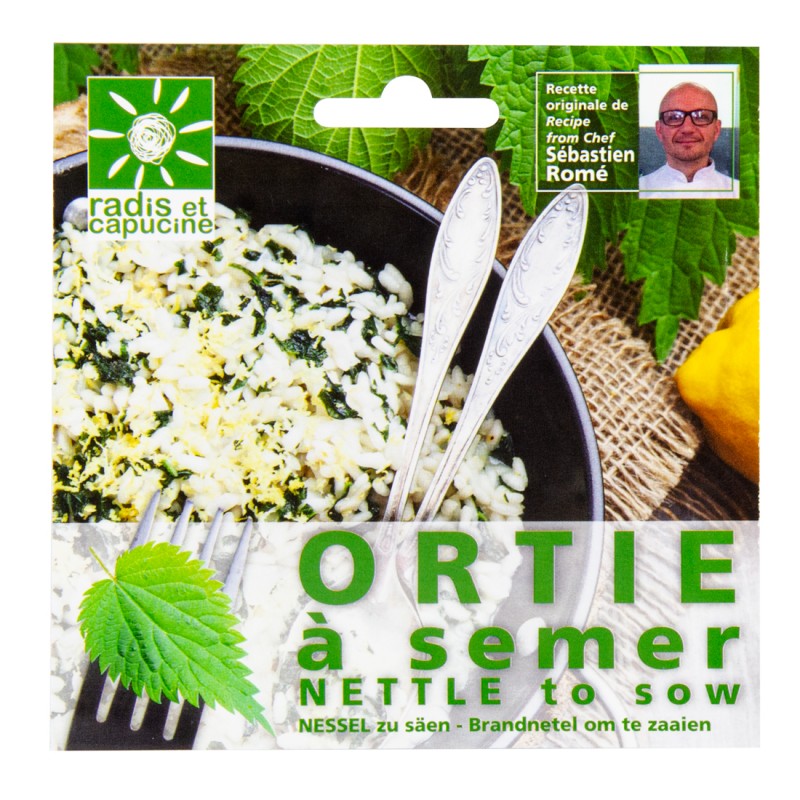 Graines d'ortie comestible à semer