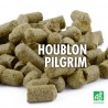 Houblon PILGRIM Bio (mixte) pour brassage