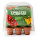 Serre d\'intérieur avec 6 tomates bio à semer