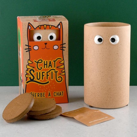 POT YEUX "CHAT SUFFIT" Orge à semer