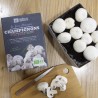 Kit de culture champignons de Paris bio - Fond carton