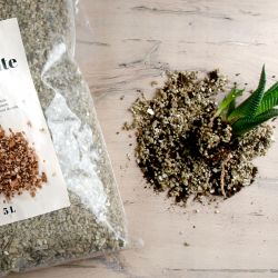 Vermiculite bag of 6.5 L500 g