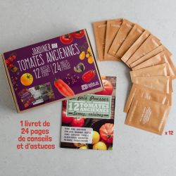 12 sachet box - Ancient Tomatoes