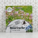 Graines de Bourrache comestible à semer