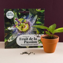 Fruit seeds of passion to sow