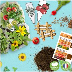 Atelier jardinage enfant Mini Potager