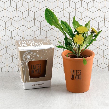 Kit message "Faites un voeu" - Pissenlit