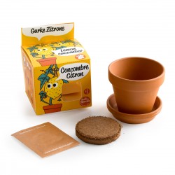 Kit pot terre cuite 8 cm -...