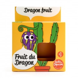 Graines de Fruit du dragon...