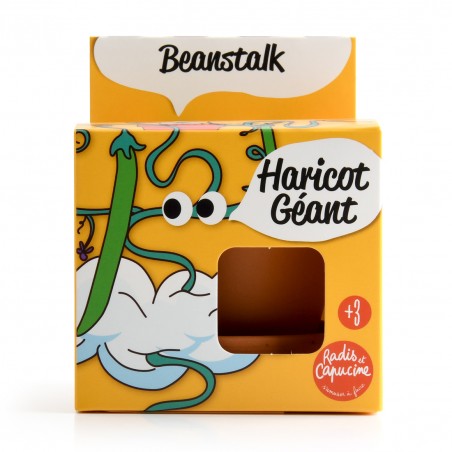 Graines de Haricot géant à faire pousser Kit plantation 8 cm