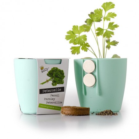 Mini pot aimanté