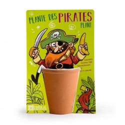 kit jardinage enfants pirate - Bananier