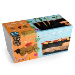 Kit créatif vivarium