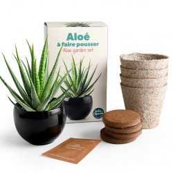 Kit jardinage aloe vera