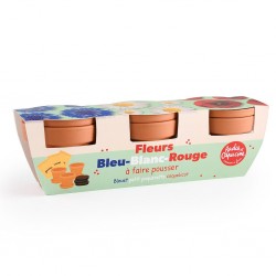 Trio fleurs bleu blanc rouge