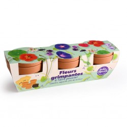 Kit jardinage fleurs...