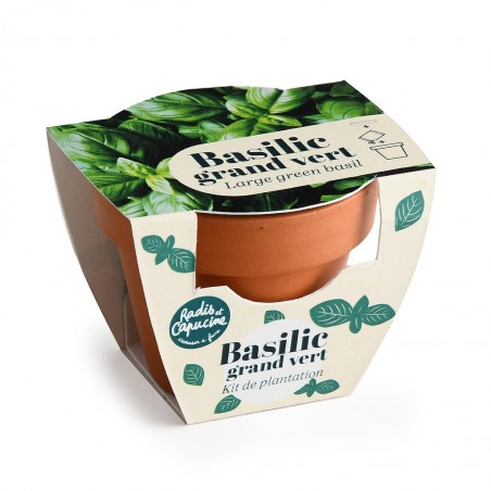 Mini kit jardinage basilic