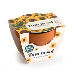 Mini kit jardinage tournesol