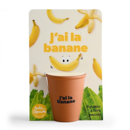 Kit jardinage message drôle "J'ai la banane" - bananier