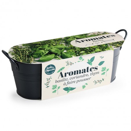 Jardinière / balconnière - Aromates