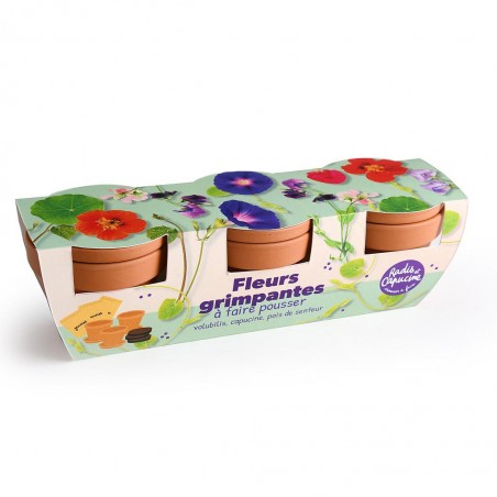 Kit jardinage fleurs grimpantes - TRIO