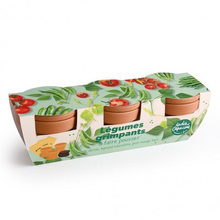 Kit jardinage légumes grimpants - TRIO
