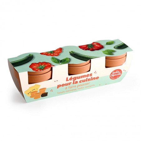 Trio de pots gourmands avec graines a semer