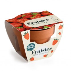 mini kit jardinage fraise