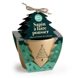 Mini kit jardinage Noël -...