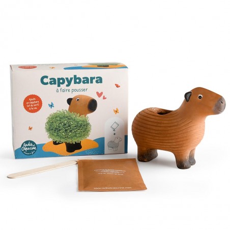 Capybara à faire pousser (chia pet)
