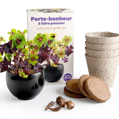 Kit trèfle 4 feuille porte bonheur