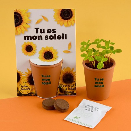 Kit jardinage message drôle "Tu es mon soleil" - tournesol