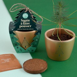 Kit jardinage Noël - Épicéa...