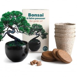 Coffret de culture Bonsaï...