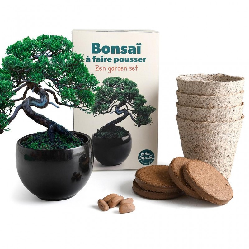 Coffret de culture Bonsaï avec pot