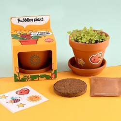 Plante qui pétille à semer jardinage enfant 8 cm