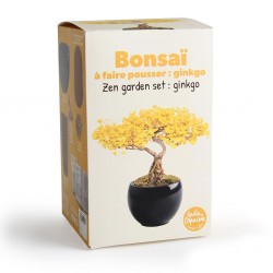 Bonsaï garden set Ginkgo