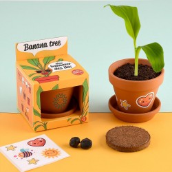 Pot 8 cm avec coupelle...