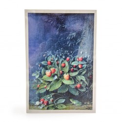 Sachet de graines à...