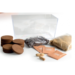 Vivarium to grow seeds x2...
