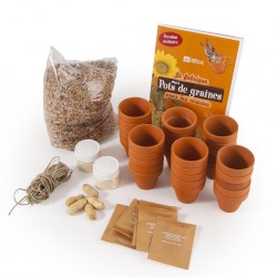 Coffret mangeoire oiseaux -...