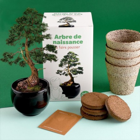 Kit jardinage arbre de naissance - Cèdre