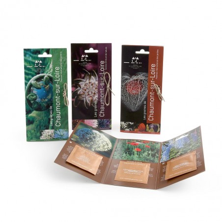 Carte 3 volets avec sachets de graines