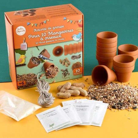 Kit créatif mangeoire à oiseaux groupe