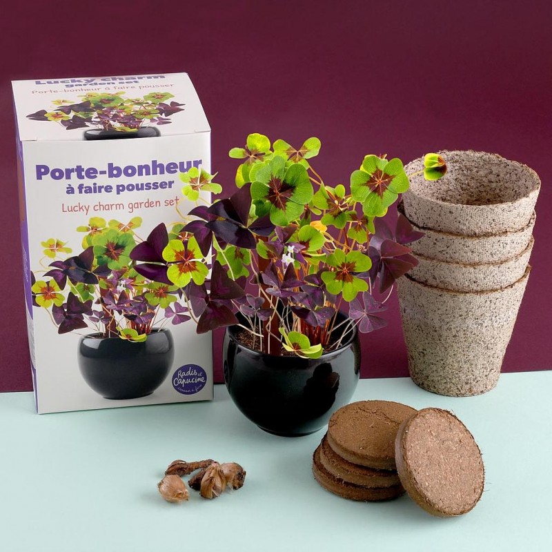 Kit trèfle 4 feuille porte bonheur