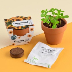 Mini kit jardinage tournesol