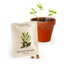 Sachet de graines 62x80 mm...