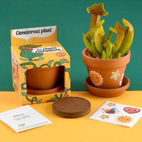 Graines de plantes carnivores à faire pousser Kit plantation 8 cm