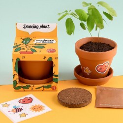 Dancing plant seeds to grow...