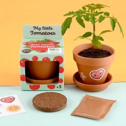 My Little Tomatoes to Sow...